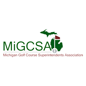 Migcsa